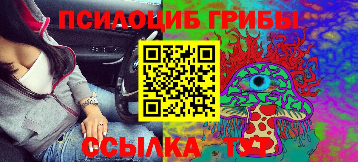 Галлюциногенные грибы Psilocybine cubensis  Галлюциногенные грибы мицелий  Вход с VPN  Костомукша 